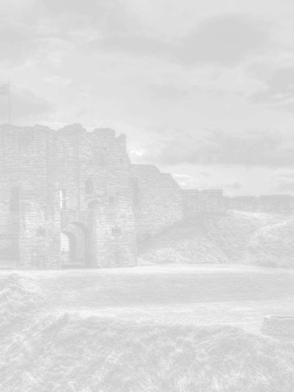 seo newcastle image for newcastle castle