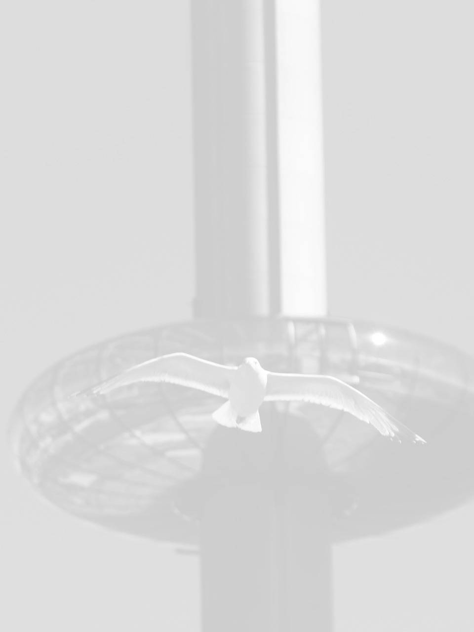 seo agency brighton image of tower