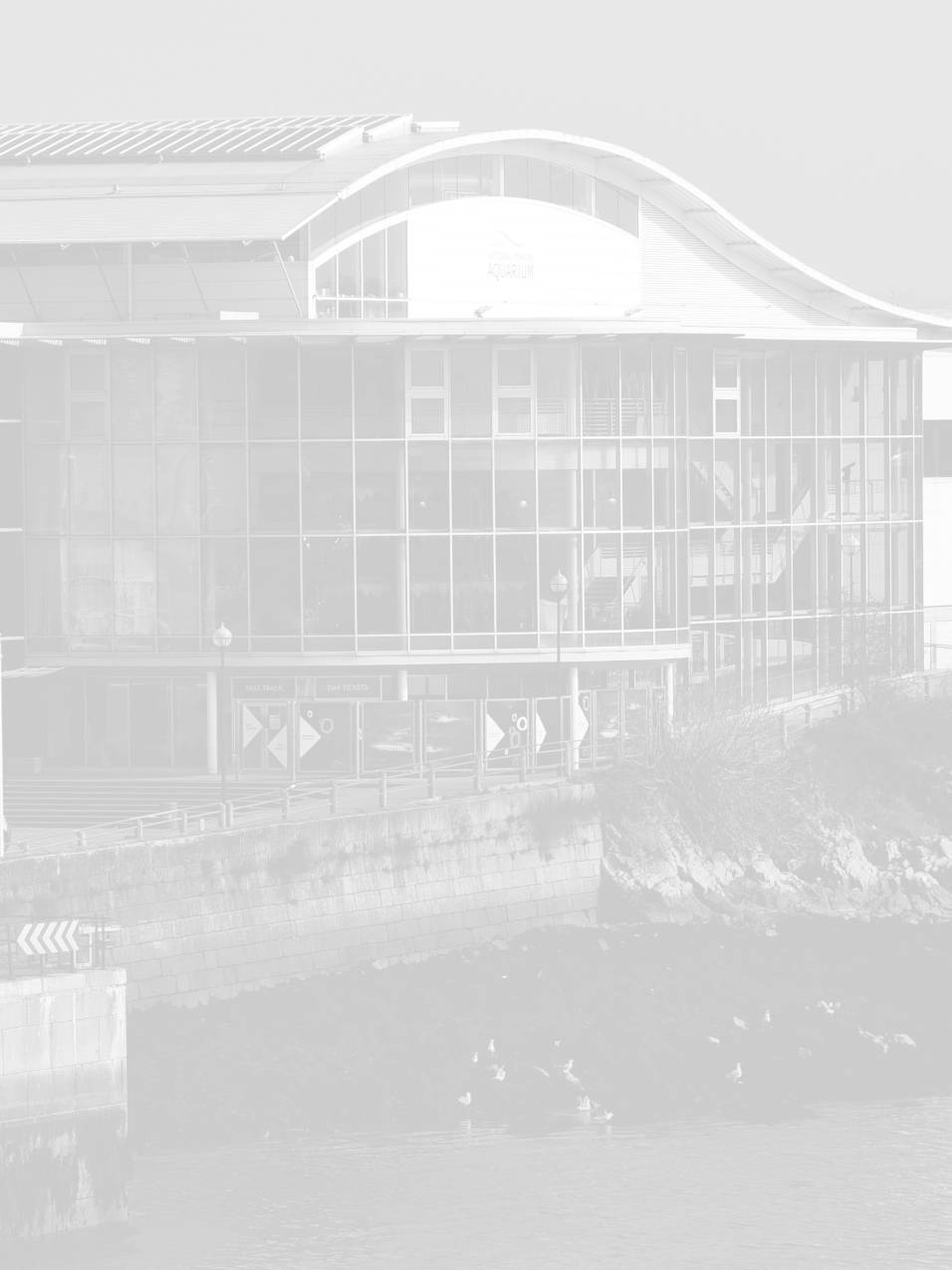 plymouth seo image of aqaurium