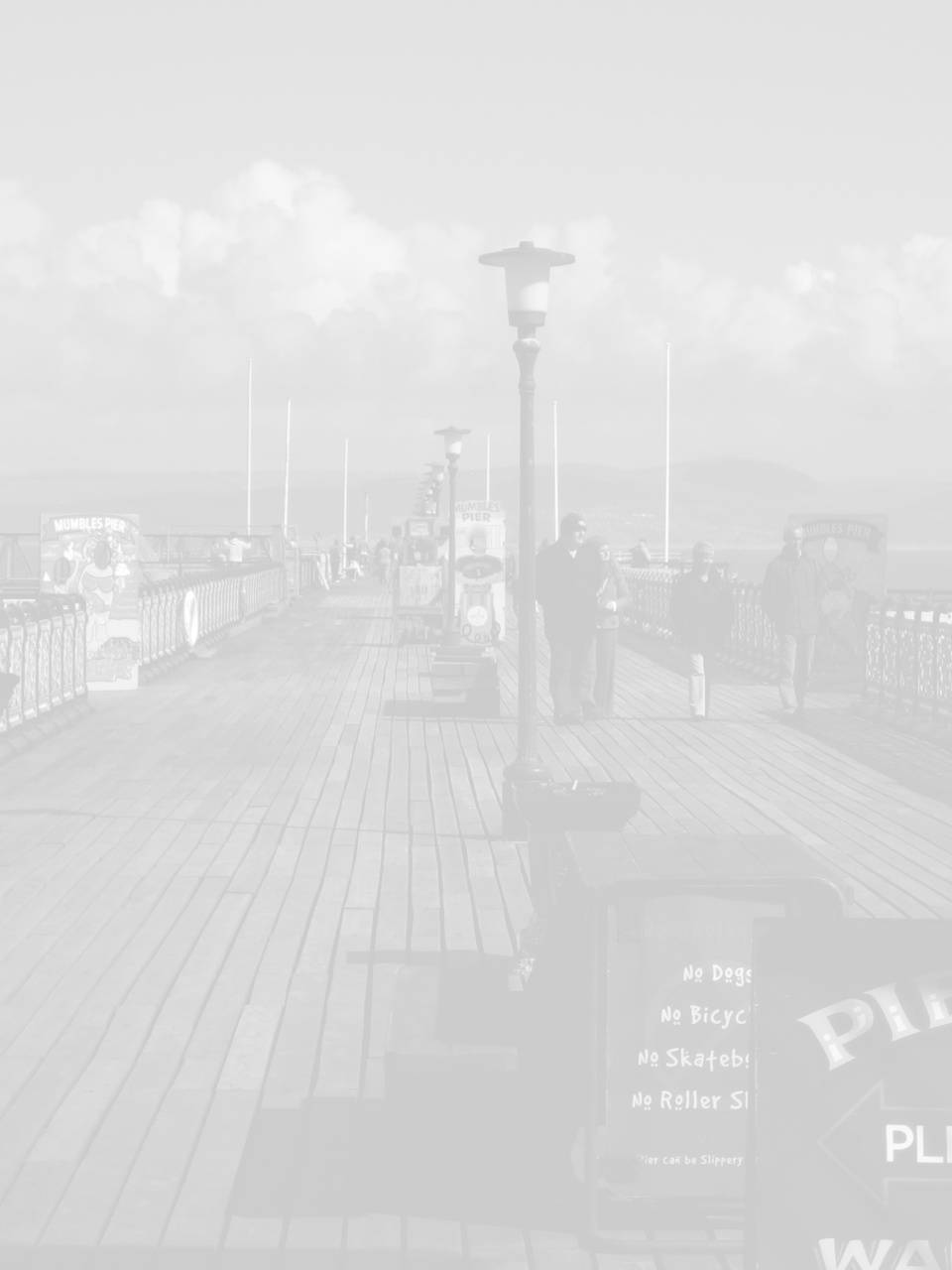 swansea seo image of mumble pier swansea