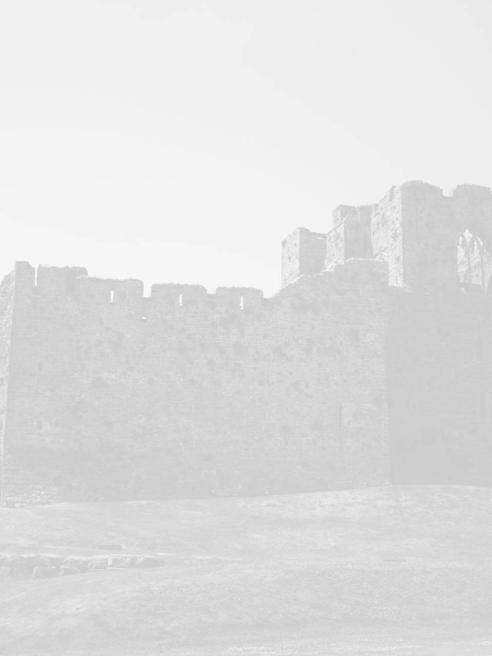 seo swansea image of oystermouth castle swansea
