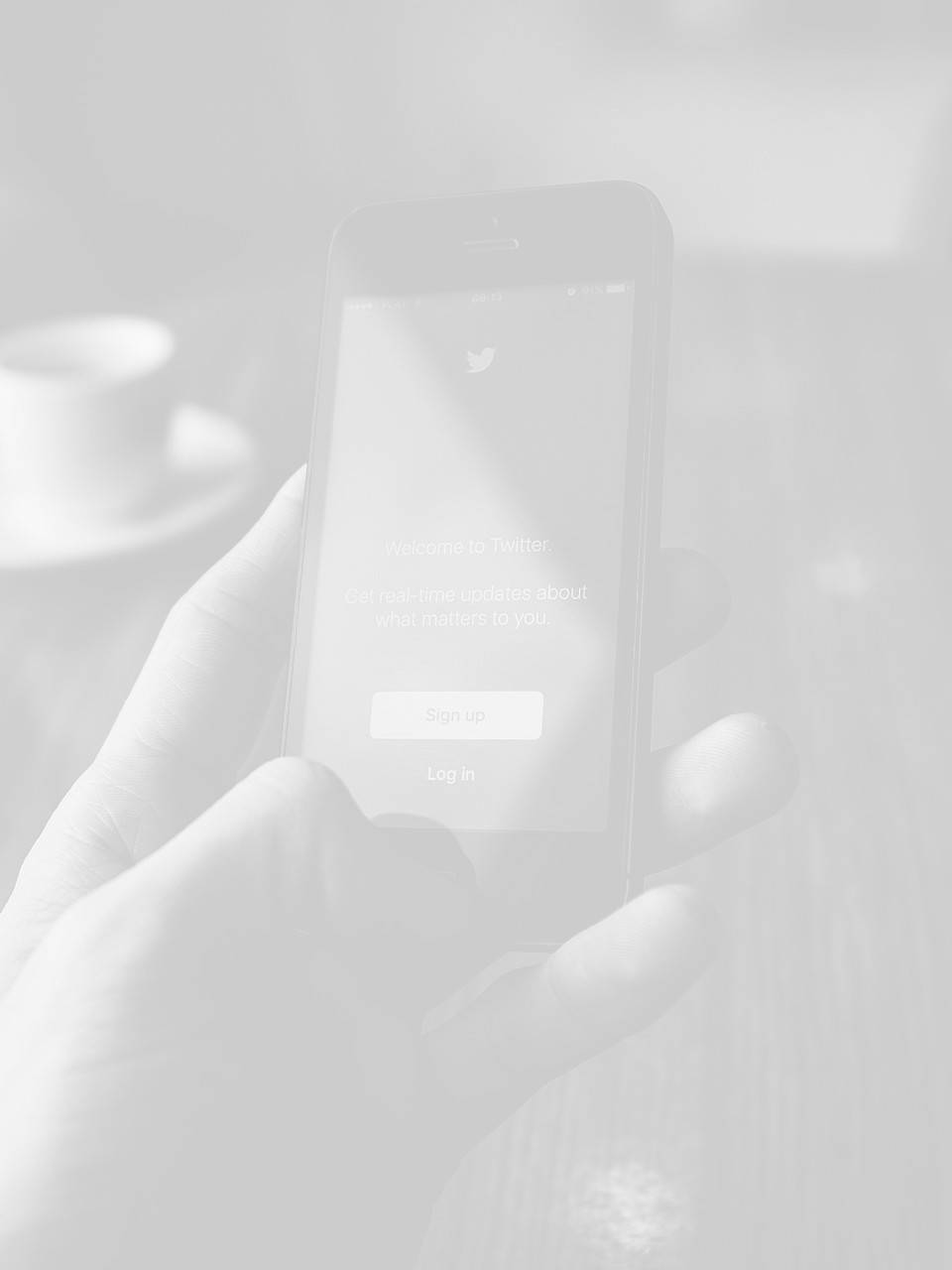 free twitter tips