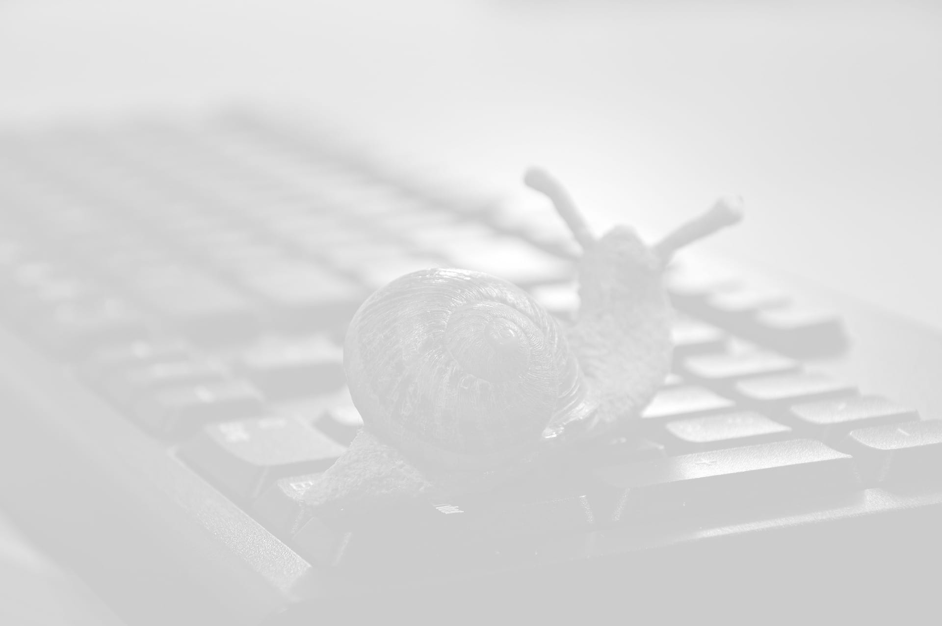 free guide to a fast website