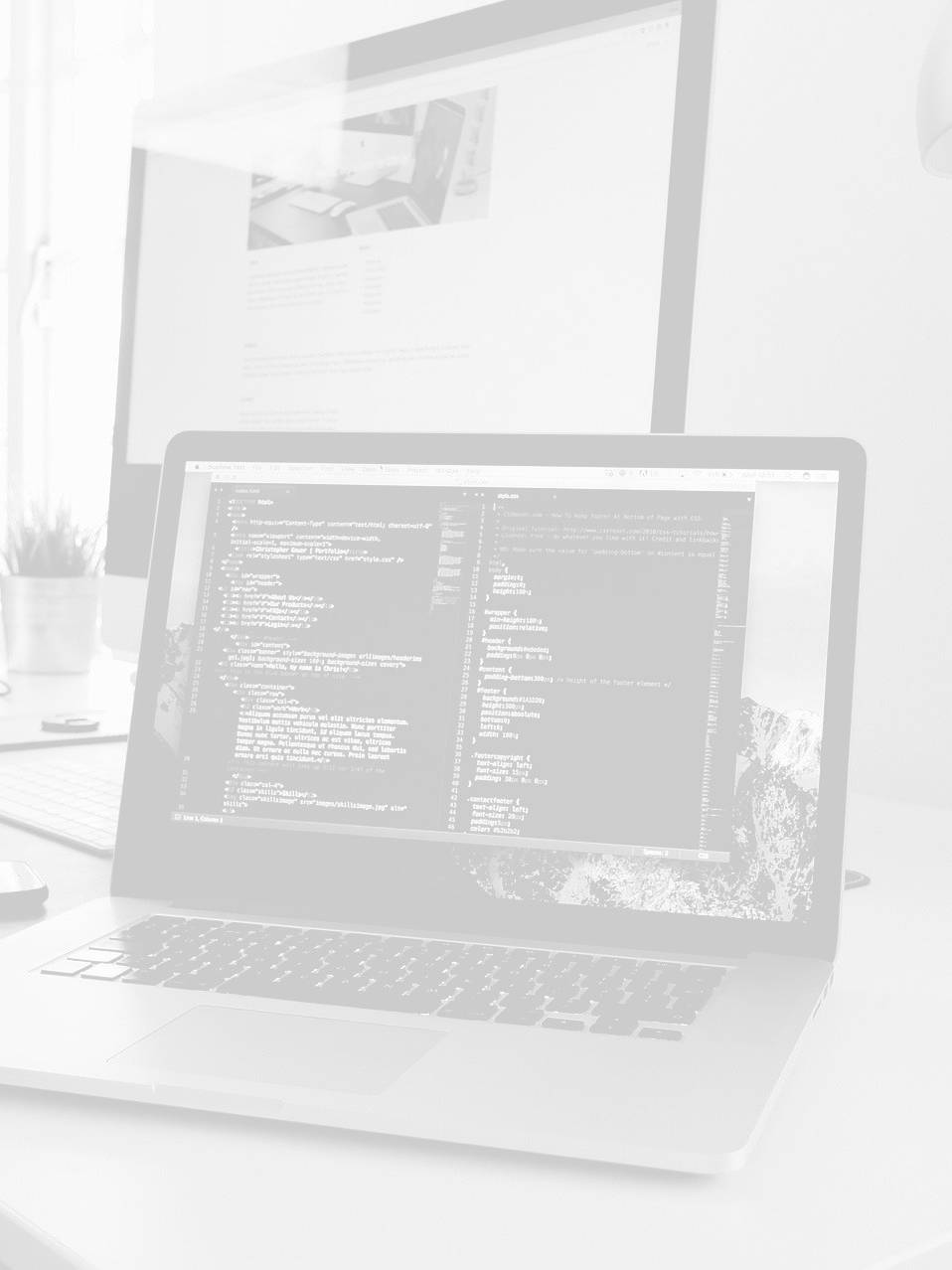 seo valencia research