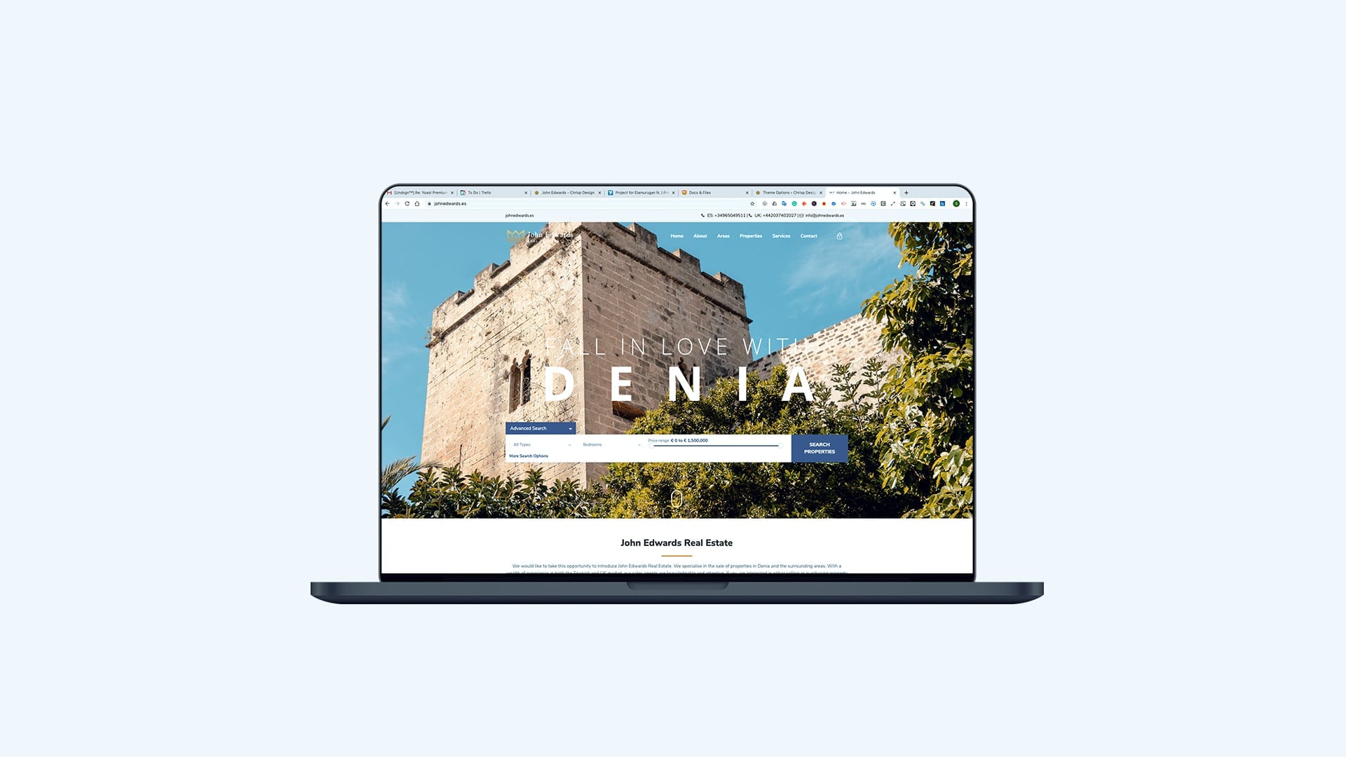 website design project