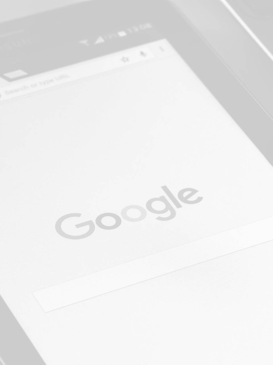 find local seo services