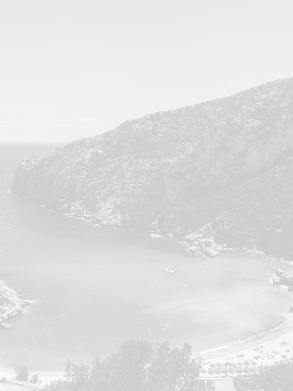 seo javea page local seo