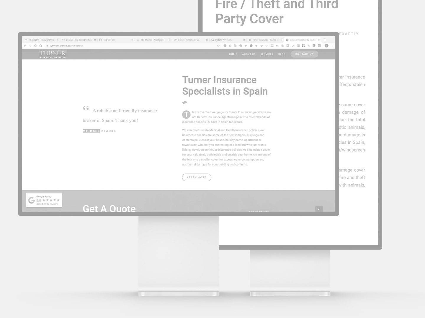 insurance mockup of website design