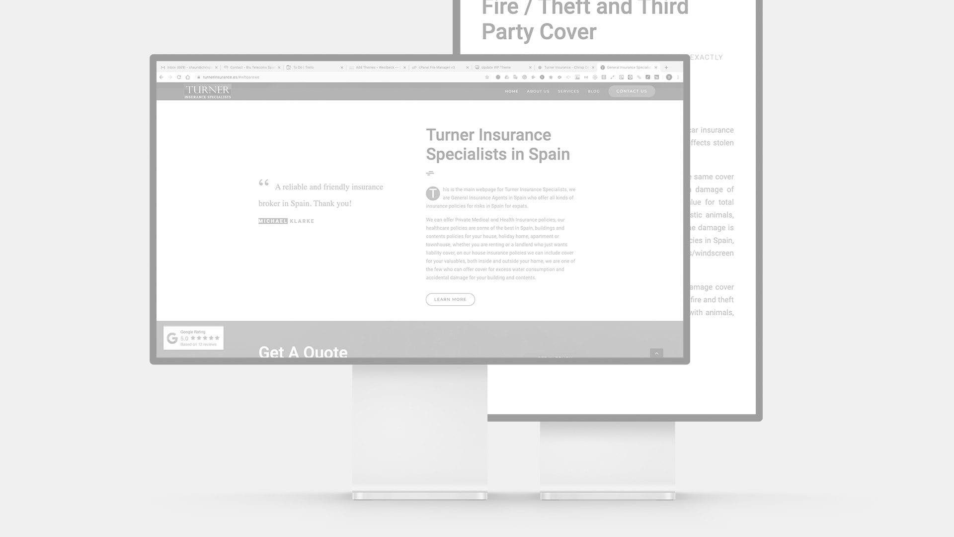 insurance mockup of website design