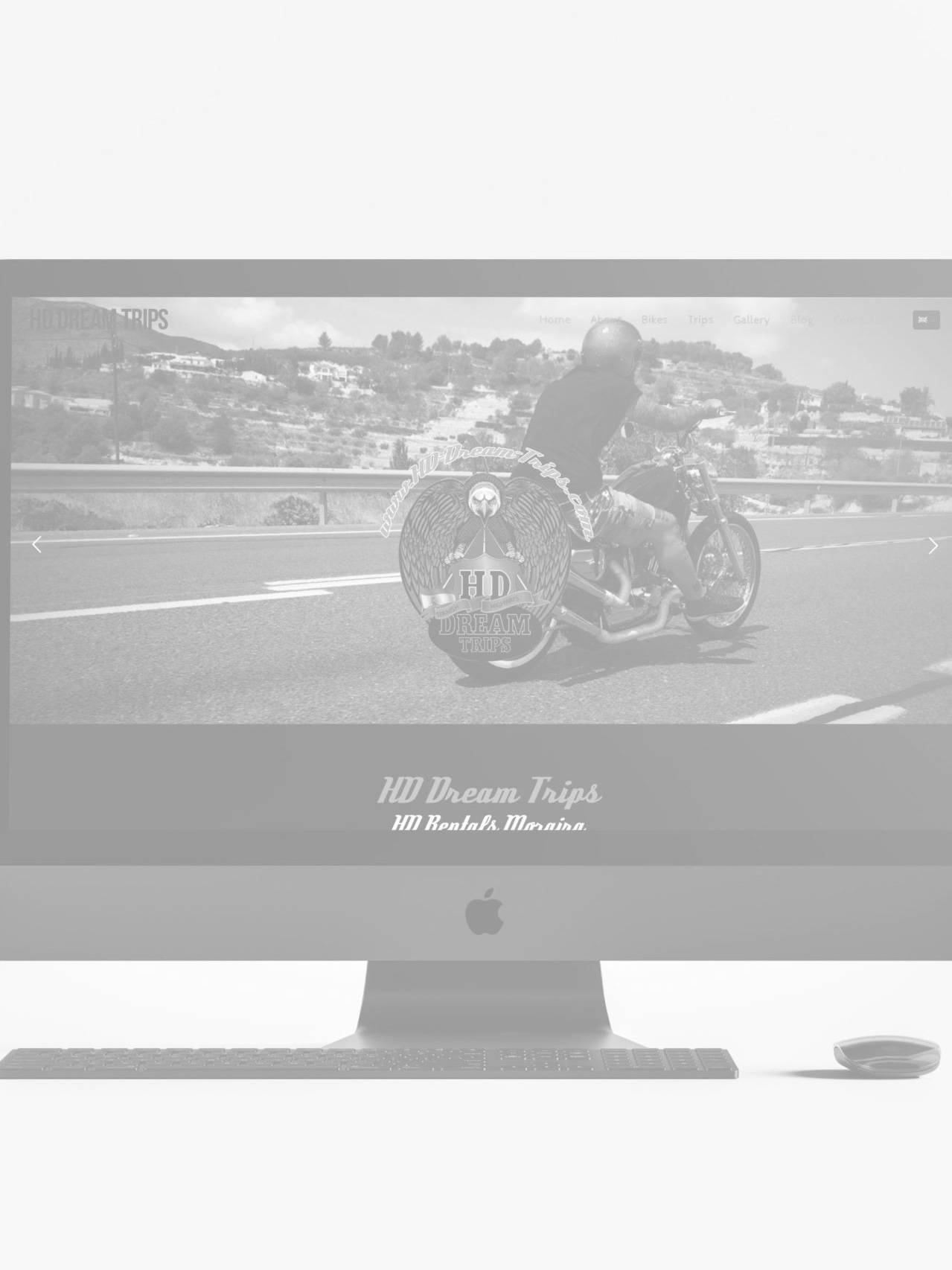 how to choose a website theme