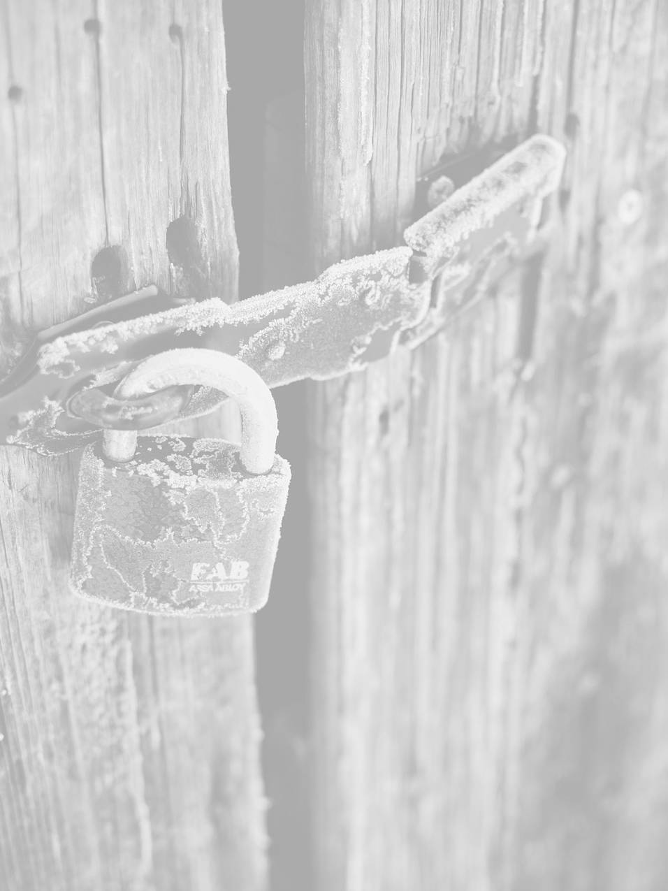 what is an ssl for beginners